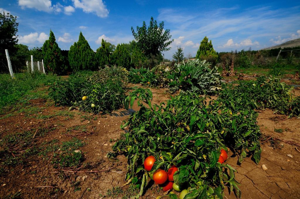보두앙 Domaine De Majastre B&B 외부 사진